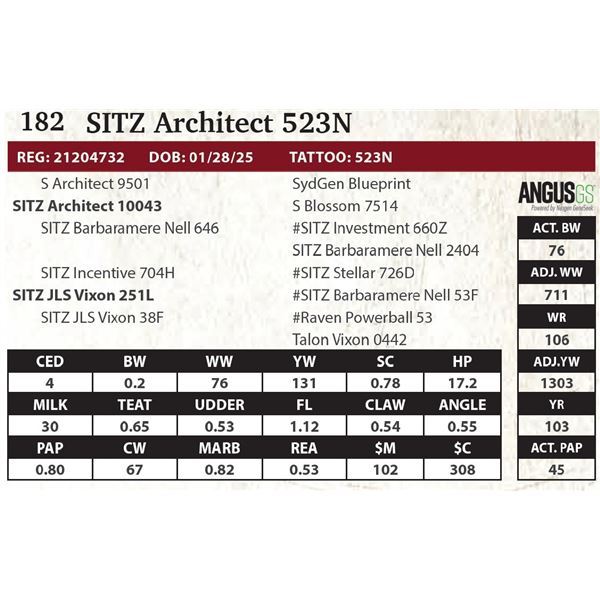 SITZ Architect 523N