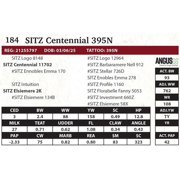 SITZ Centennial 395N