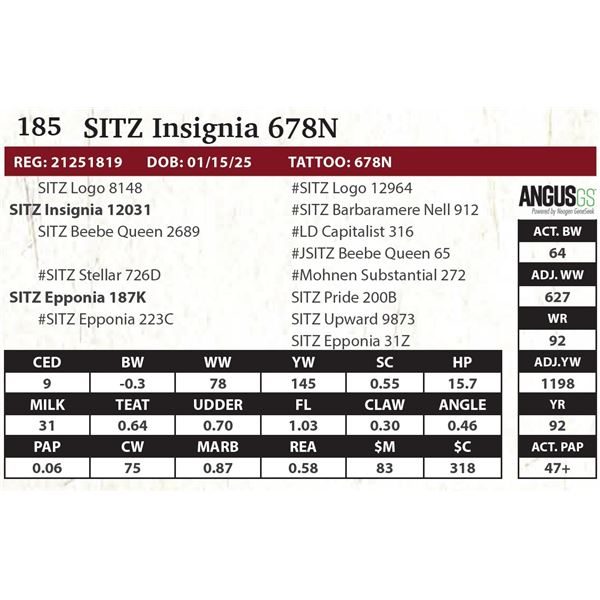 SITZ Insignia 678N