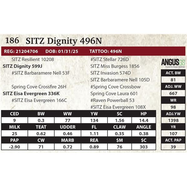 SITZ Dignity 496N