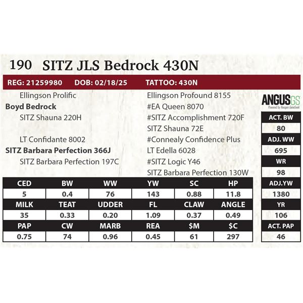 SITZ JLS Bedrock 430N