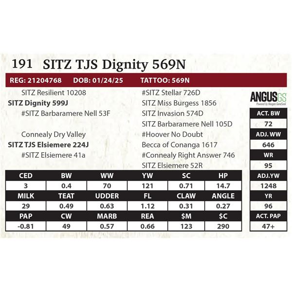 SITZ TJS Dignity 569N