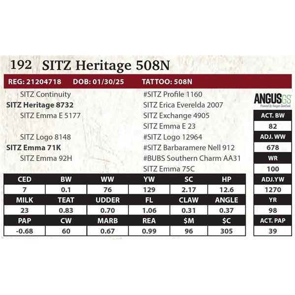 SITZ Heritage 508N