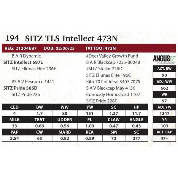 SITZ TLS Intellect 473N