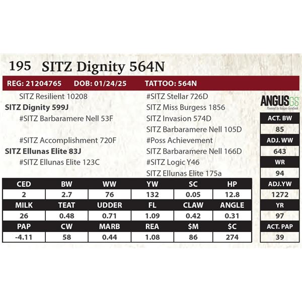 SITZ Dignity 564N