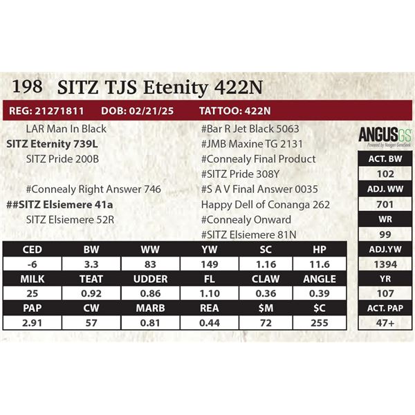 SITZ TJS Etenity 422N