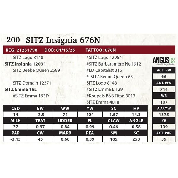 SITZ Insignia 676N