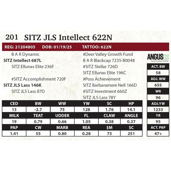 SITZ JLS Intellect 622N