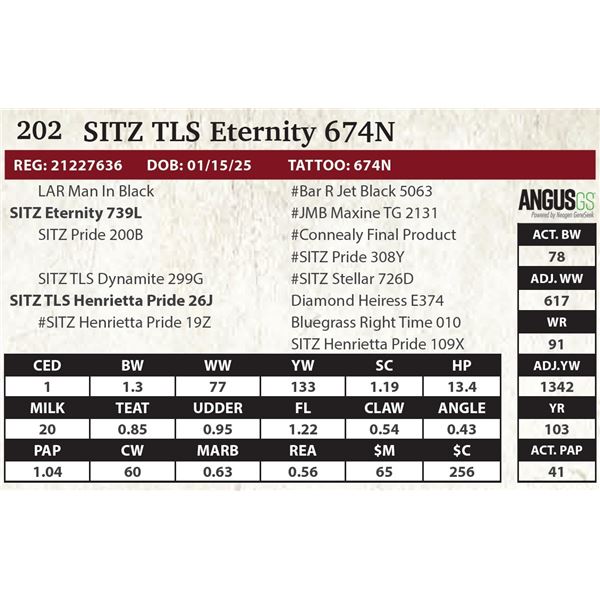 SITZ TLS Eternity 674N