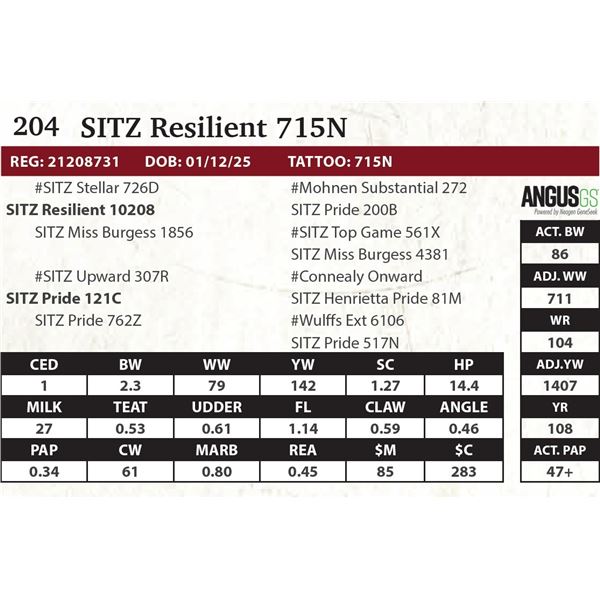 SITZ Resilient 715N