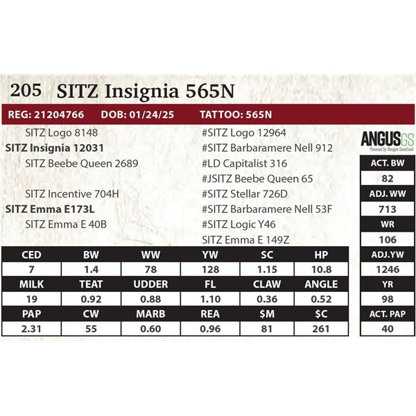 SITZ Insignia 565N