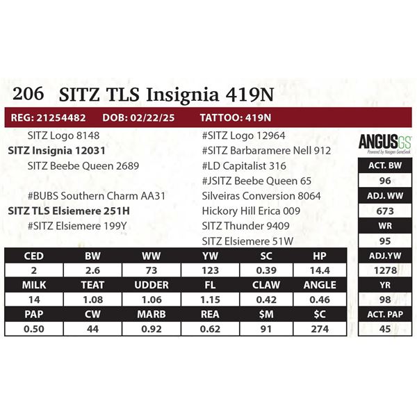 SITZ TLS Insignia 419N