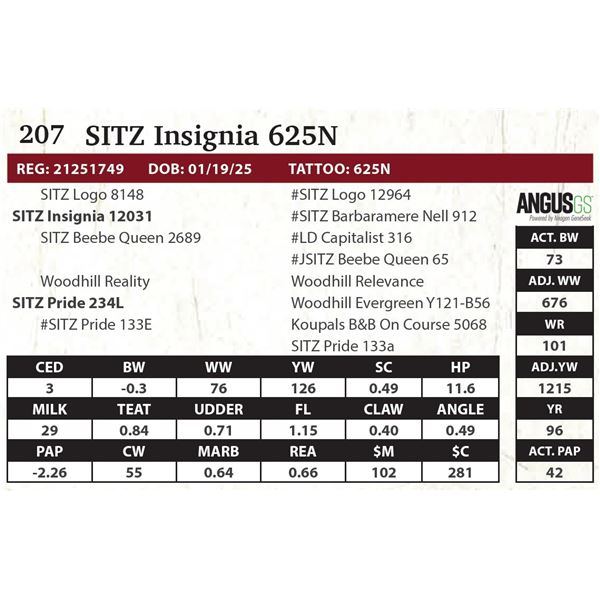 SITZ Insignia 625N