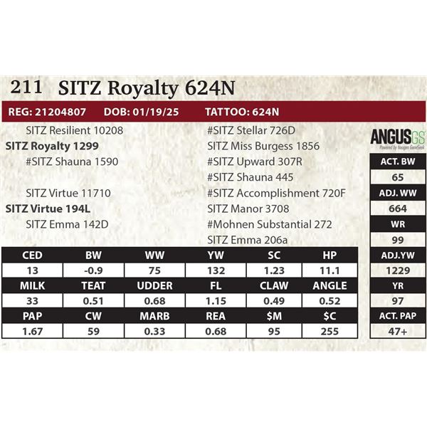 SITZ Royalty 624N