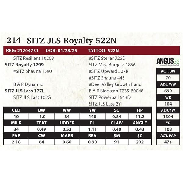 SITZ JLS Royalty 522N