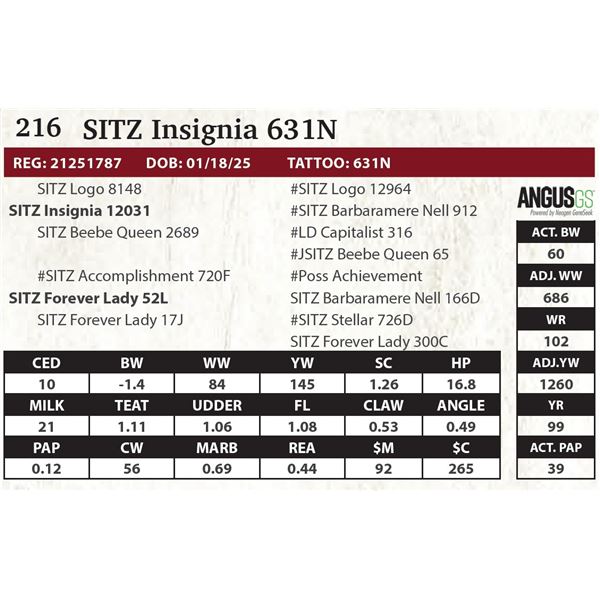 SITZ Insignia 631N