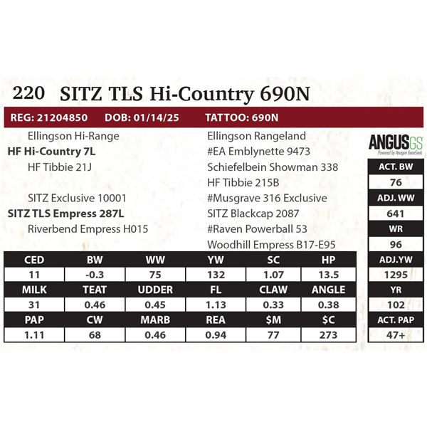 SITZ TLS Hi-Country 690N