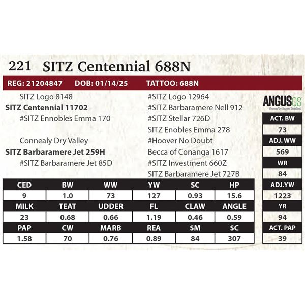 SITZ Centennial 688N