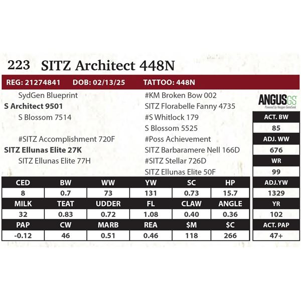 SITZ Architect 448N