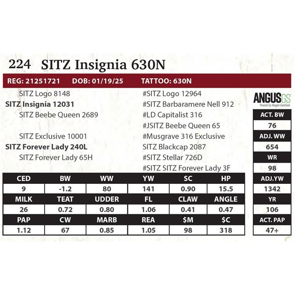 SITZ Insignia 630N
