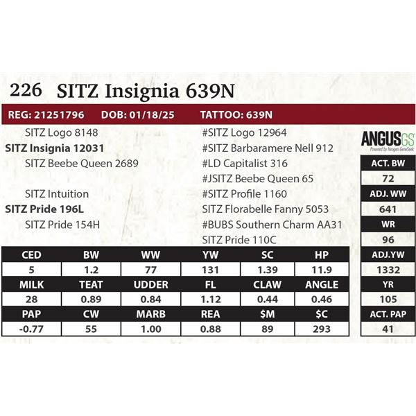 SITZ Insignia 639N
