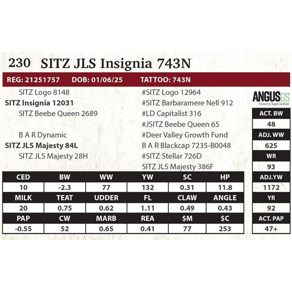 SITZ JLS Insignia 743N