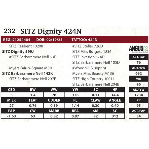SITZ Dignity 424N