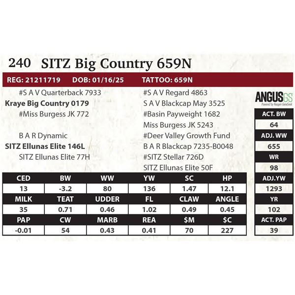 SITZ Big Country 659N