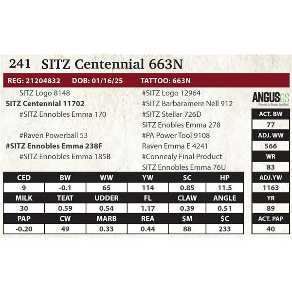 SITZ Centennial 663N