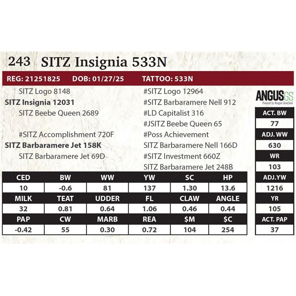 SITZ Insignia 533N