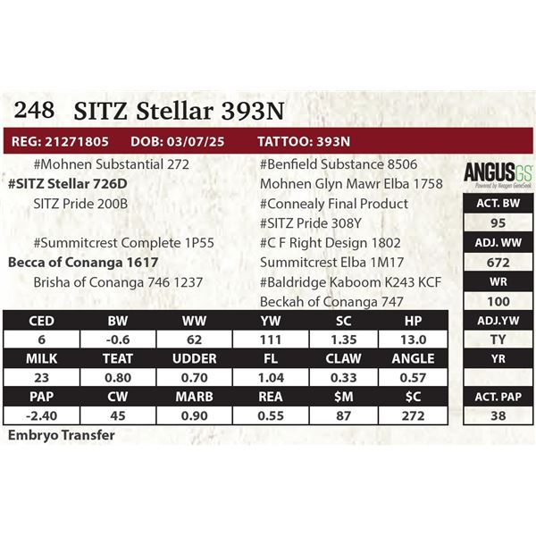 SITZ Stellar 393N