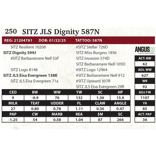 SITZ JLS Dignity 587N