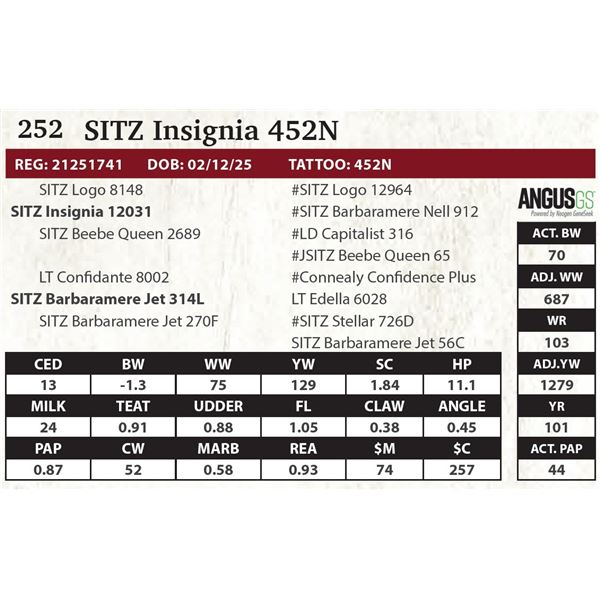 SITZ Insignia 452N
