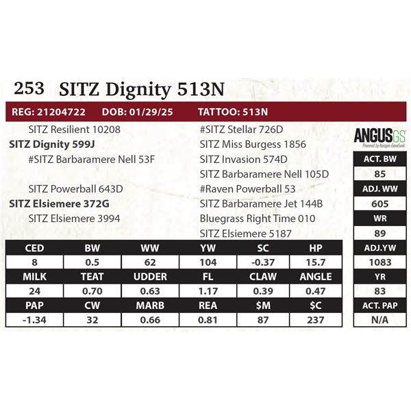 SITZ Dignity 513N