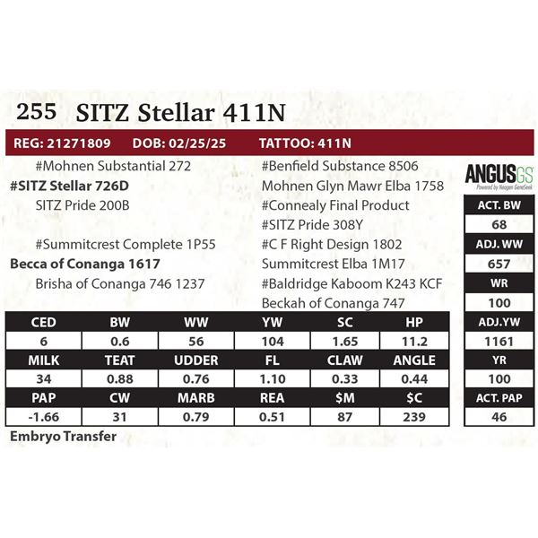 SITZ Stellar 411N