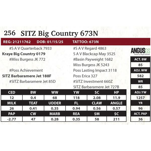 SITZ Big Country 673N