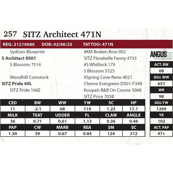 SITZ Architect 471N