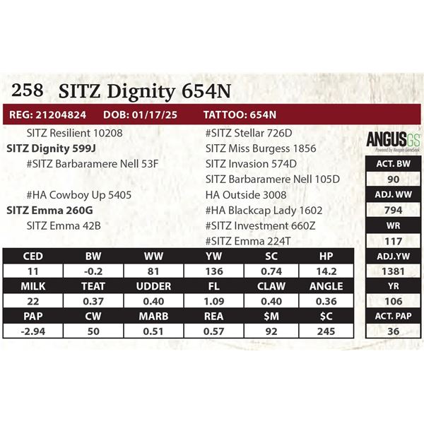 SITZ Dignity 654N