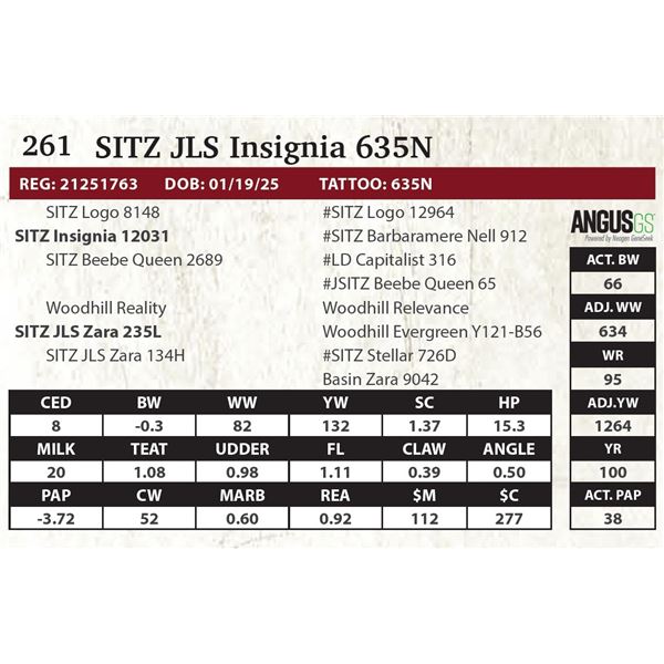 SITZ JLS Insignia 635N