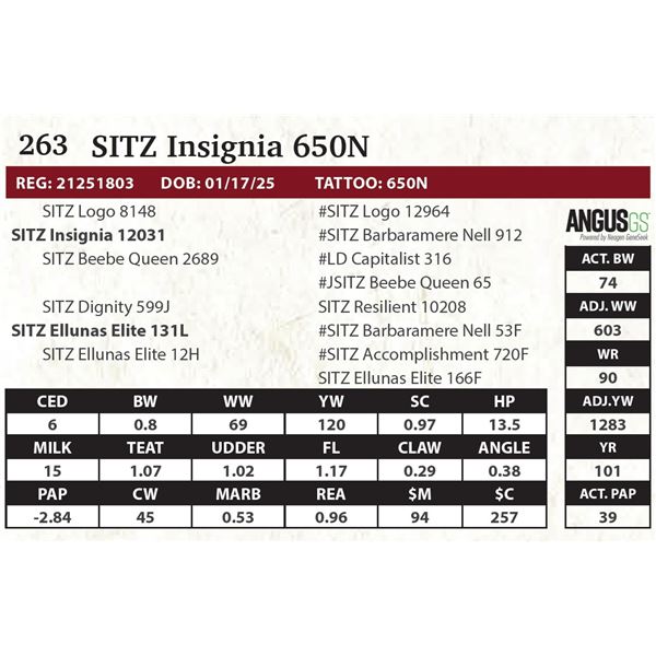 SITZ Insignia 650N