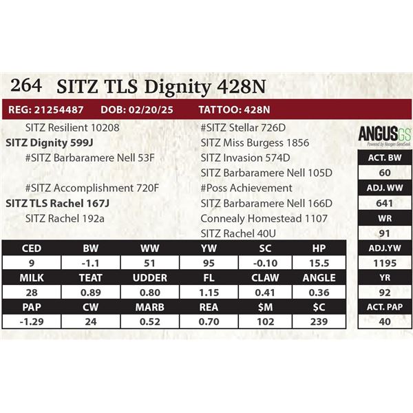 SITZ TLS Dignity 428N
