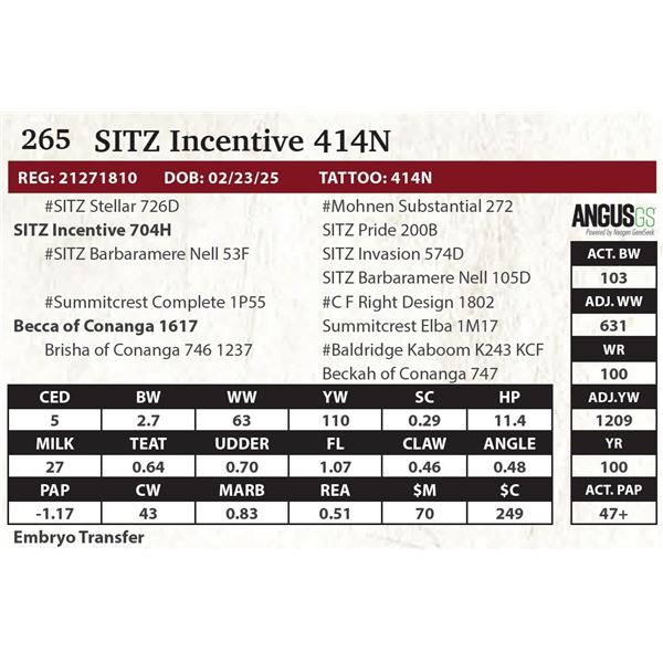 SITZ Incentive 414N