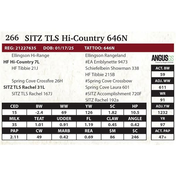 SITZ TLS Hi-Country 646N