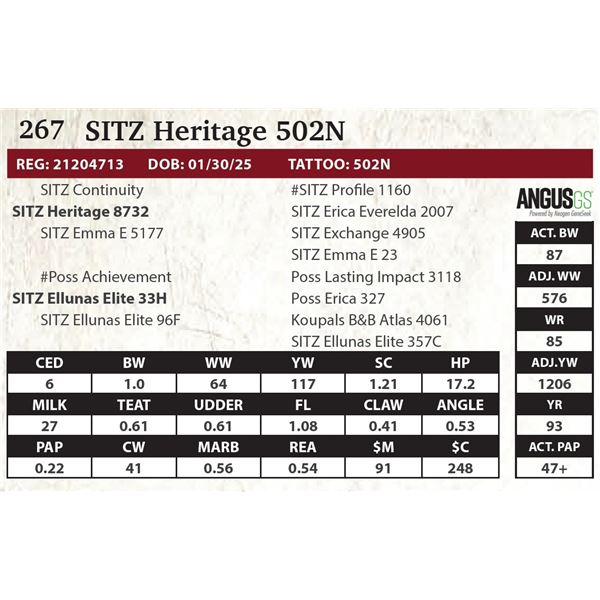 SITZ Heritage 502N
