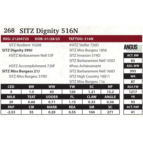 SITZ Dignity 516N