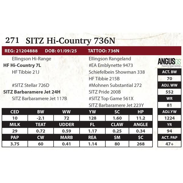 SITZ Hi-Country 736N