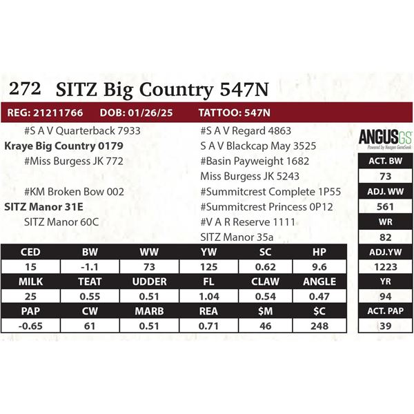 SITZ Big Country 547N