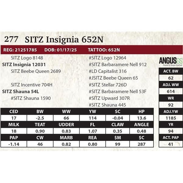 SITZ Insignia 652N