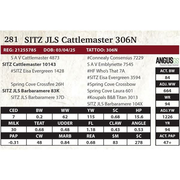 SITZ JLS Cattlemaster 306N