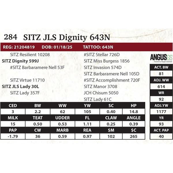 SITZ JLS Dignity 643N